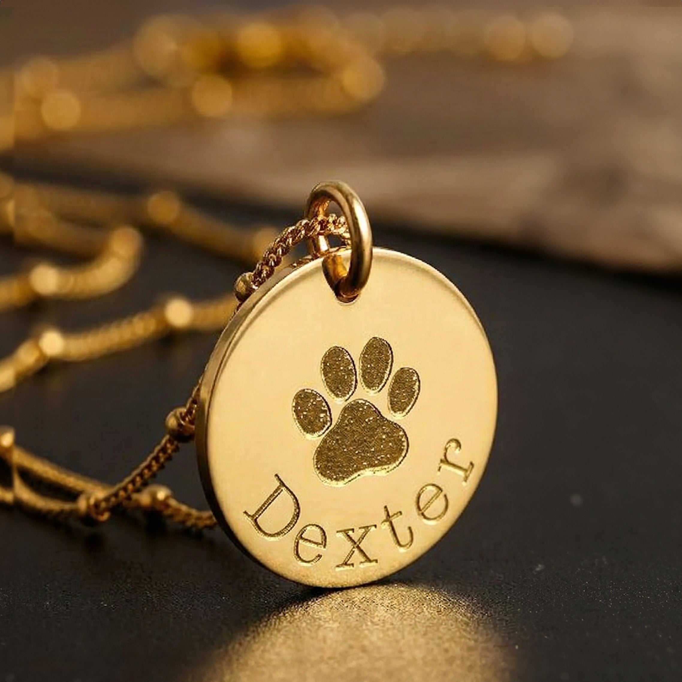 Macro close-up of engraved paw print and pet name on round gold pendant, custom paw print necklace with clean crisp engraving, personalized pet jewelry for dog and cat lovers, minimalist disc necklace showing fine engraving details, sentimental pet memorial keepsake, handcrafted high polish paw print charm, meaningful gift for pet parents and remembrance jewelry