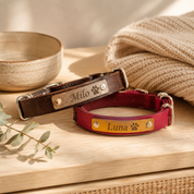 Personalized leather dog collars stacked in turquoise, raspberry, espresso, and honey color combinations