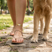 Gold paw print pet name anklet worn while walking a dog outdoors