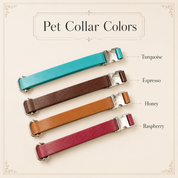 Turquoise, espresso, honey, and raspberry natural-leather dog collar color options