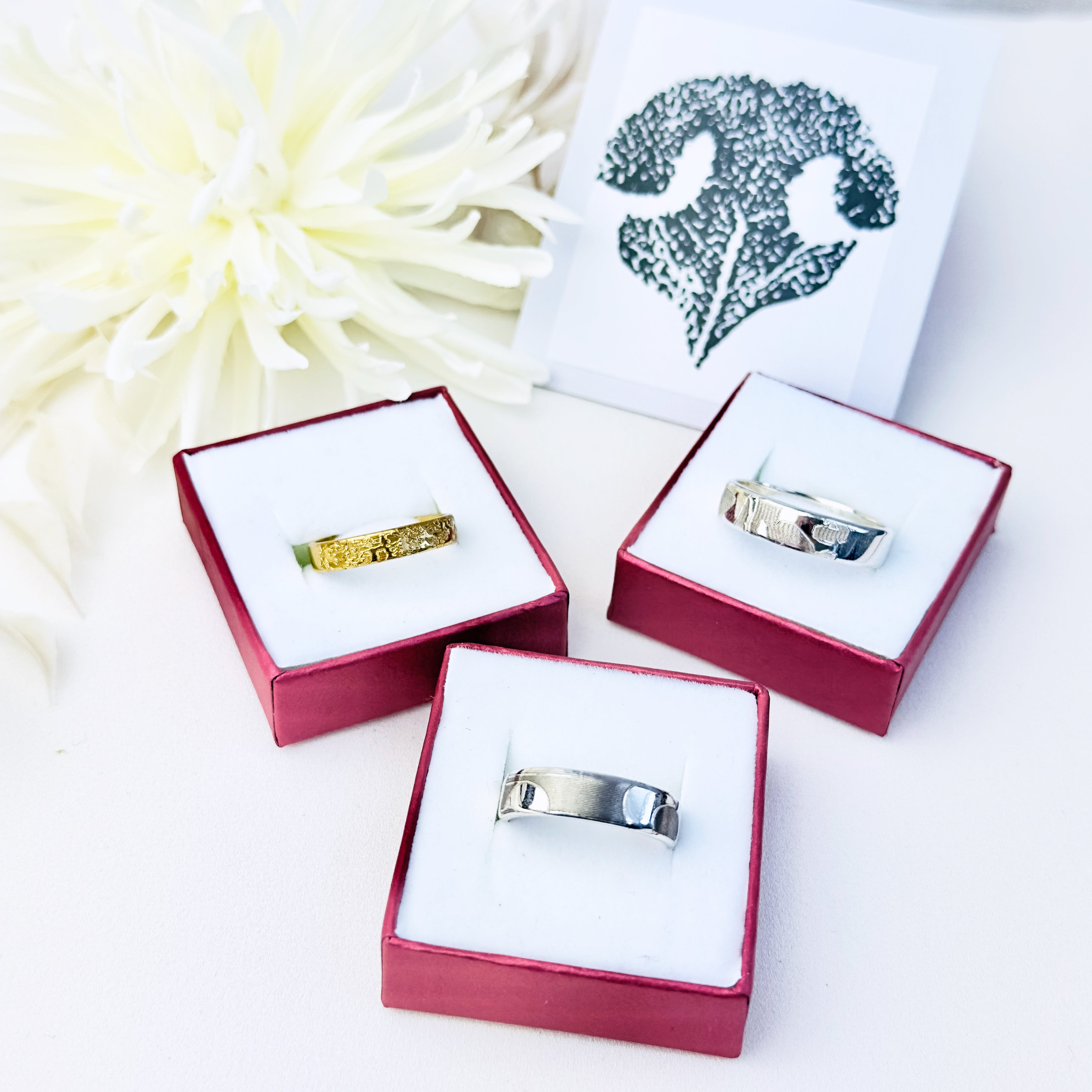 A photo of 3 different dog nose rings in open ring boxes. A dog nose print is visible in the background.  Dog nose print ring, personalized pet jewelry, sterling silver dog ring, gold vermeil, rose gold, custom engraving, dog lover gift, pet keepsake