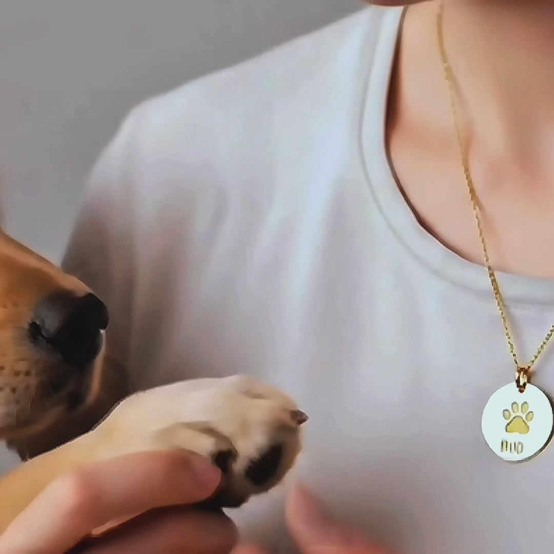 A video showing a variety of engraved paw print disc necklaces. Personalized paw print necklace, custom pet lover gift, pet loss gift, memorial for pet, in memory of dog, personalized cat loss video, personalized disc necklace sterling silver, rose gold, gold, dainty disc necklace, tasteful memorial gift for loss of pet