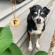 Our custom engraved dog necklace is hanging on a gold filled satellite chain also pictured is the dog inspiration of this necklace