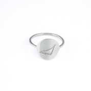 Zodiac Constellation Disc Ring, Sterling Silver or Gold Vermeil Custom Engraved Astrology Ring, Constellation Jewelry for Women, Birthday Gift for Her