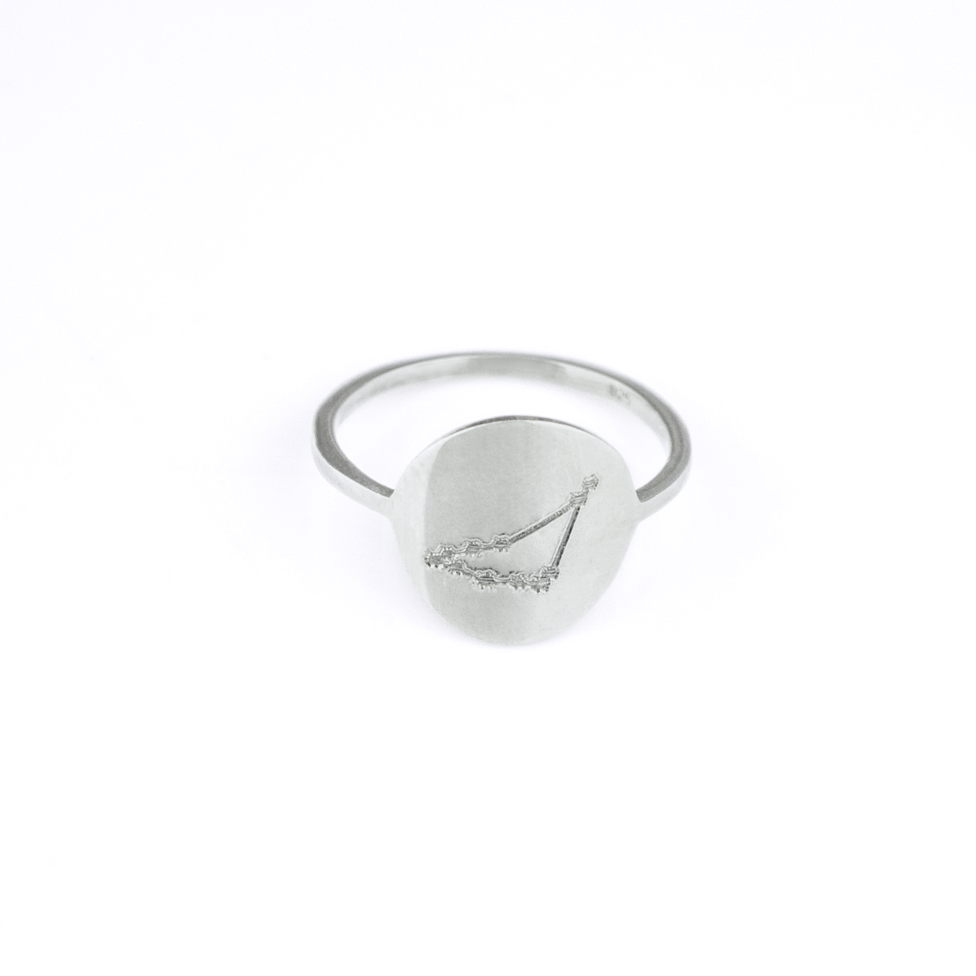 Zodiac Constellation Disc Ring, Sterling Silver or Gold Vermeil Custom Engraved Astrology Ring, Constellation Jewelry for Women, Birthday Gift for Her