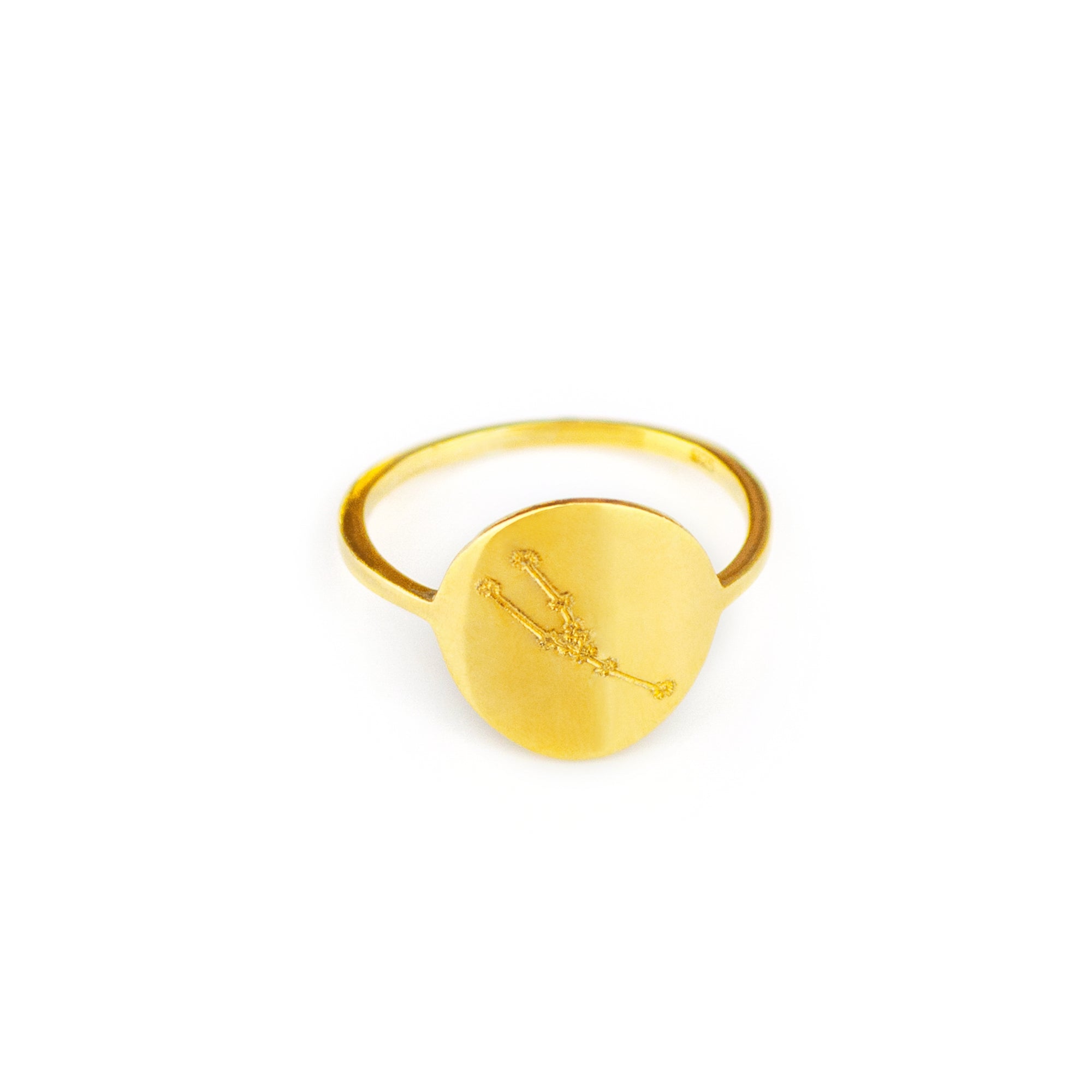 Zodiac Constellation Disc Ring, Sterling Silver or Gold Vermeil Custom Engraved Astrology Ring, Constellation Jewelry for Women, Birthday Gift for Her