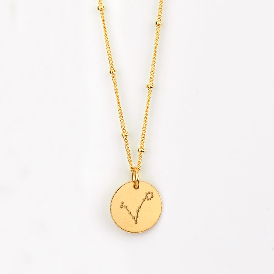 Pisces Constellation Necklace with Monogram Engraving on Back
