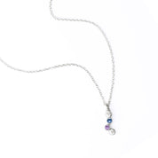 Cherished Connections Birthstone and Initial Necklace Vertical Pendant